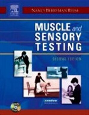 Muscle and sensory testing