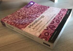 Microbiology An introduction