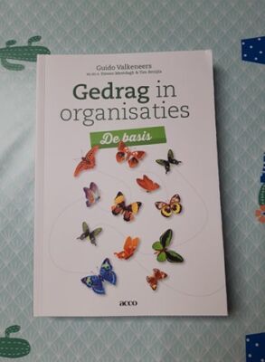 Gedrag in organisaties (De basis)