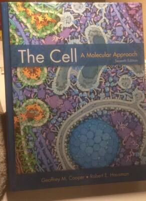 The Cell a molecular approach