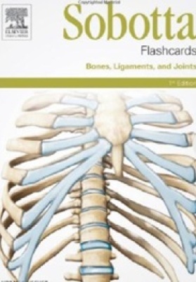 Sobotta flashcards - Bones, Ligaments, and Joints