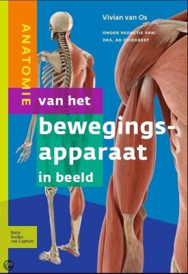 anatomie van het bewegingsapparaat in beeld