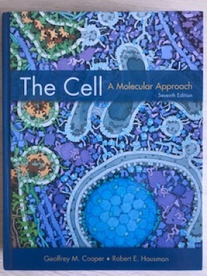 The Cell a molecular approach