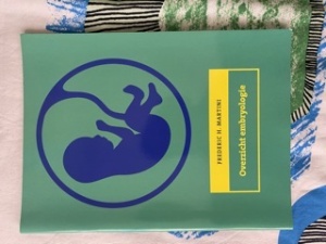 Overzicht embryologie