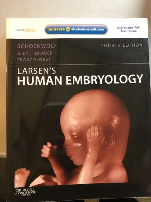 Larsen's Human Embryology 4th edition