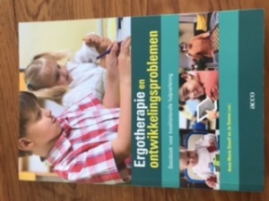 Ergotherapie en ontwikkelingsproblemen