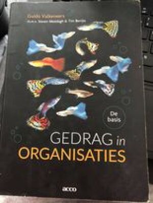 Gedrag in Organisaties