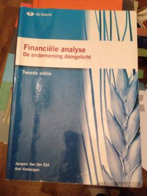 Financiële analyse. De onderneming doorgelicht