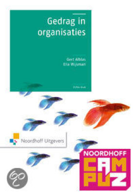 Gedrag in organisaties