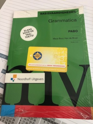 Basisvaardigheden grammatica - 3de druk