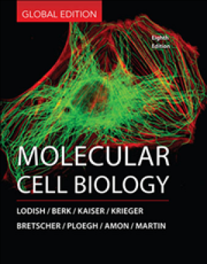 Molecular Cell Biology (Eighth Edition)