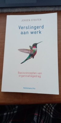 Verslingerd aan werk