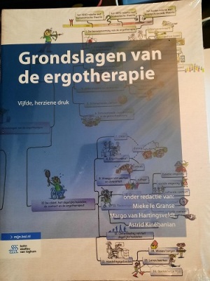 Grondslagen van de ergotherapie