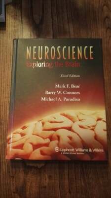 Neuroscience - Exploring the Brain