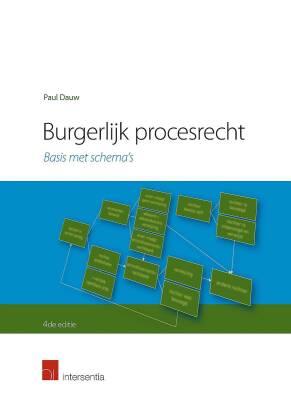 Burgerlijk procesrecht basis met schema's (4e editie)