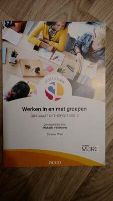 Werken in en met groepen