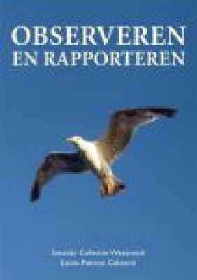 Observeren en rapporteren