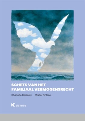 Schets van het familiaal vermogensrecht
