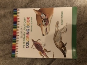 Veterinary Anatomy Coloring Book