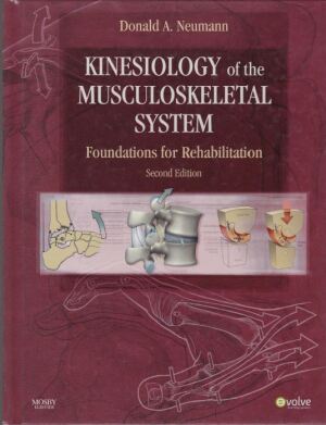 Kinesiology of the musculoskeletal system