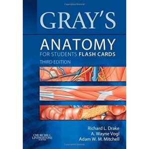 Gray's anatomy for students flash cards. Third edition