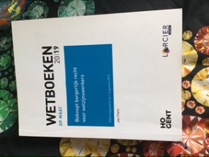 Wetboeken op maat 2019: Beknopt burgerlijk recht voor welzijnswerkers