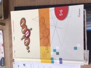vbtl 5-6 matrices en stelsels uitgebreid