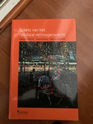 Schets van het familiaal vermogensrecht (zesde druk)