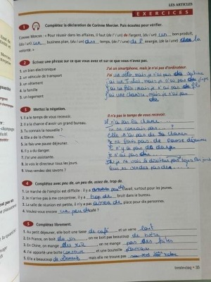 Complément de grammaire & d’exercices pour Le français des affaires