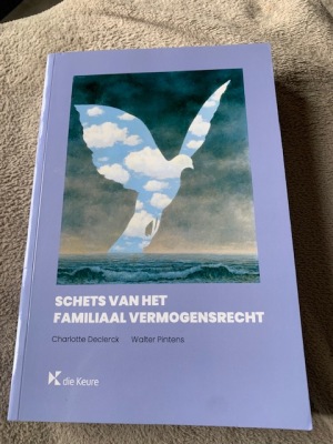 Schets van het familiaal vermogensrecht