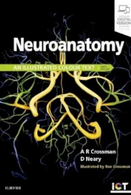Neuroanatomy, an illustrated color text