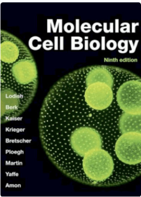 Molecular Cell Biology Ninth edition