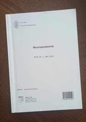 Neuroanatomie