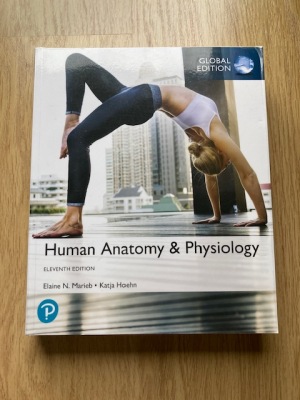 Human Anatomy & Physiology