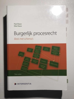 Burgerlijk procesrecht basis met schema's