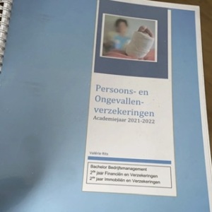 Persoons en ongevallenverzekeringen