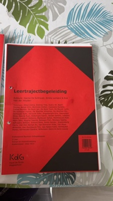 Leertrajectbegeleiding