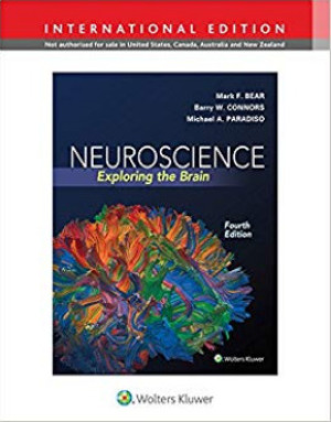 Neuroscience: Exploring the Brain 4th Edition