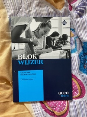 Blokwijzer: Cellulaire neurofysiologie + didactische hersenkaart