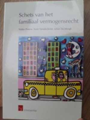 Schets van het familiaal vermogensrecht