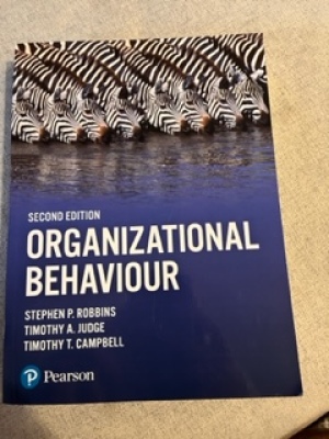 organizational behaviour
