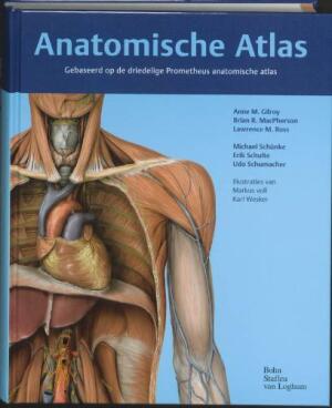 prometheus anatomische atlas
