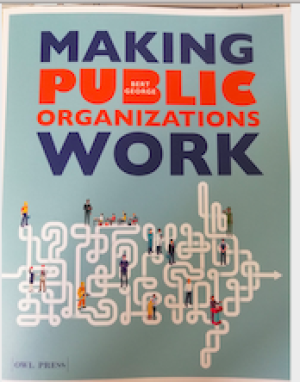 Making Public Organizations Work
