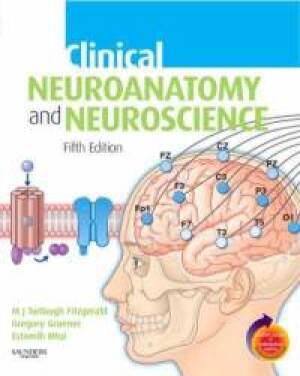 Clinical neuroanatomy and neuroscience, fifth edition