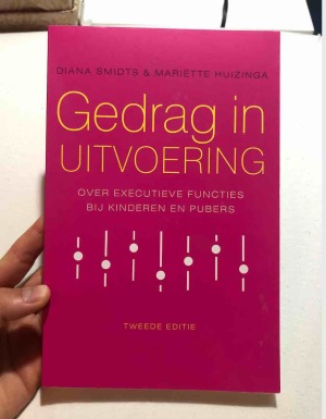 Gedrag in uitvoering: over executieve functies bij kinderen en pubers