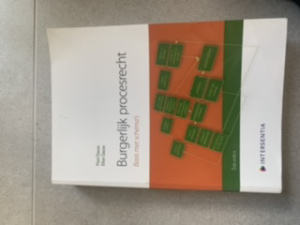 Burgerlijk procesrecht basis met schema's