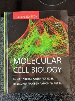 Molecular Cell Biology