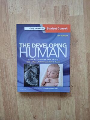 The Developing Human 10th edition : Clinically Oriented Embr