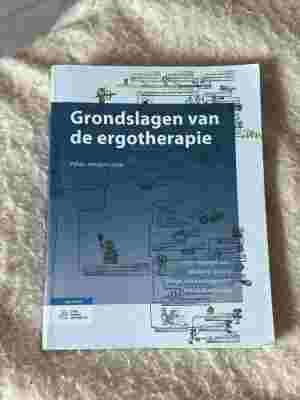 Grondslagen van de ergotherapie