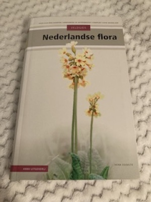 Nederlandse flora
